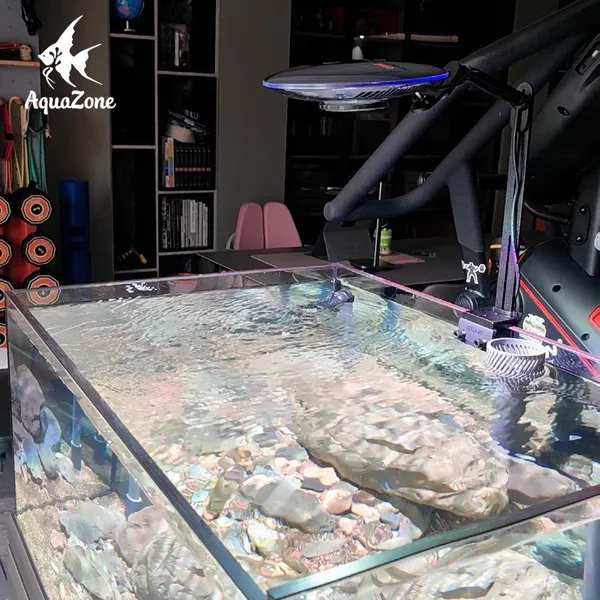 Đèn LED chuyên dụng cung cấp ánh sáng cho cây và cá trong hồ thủy sinh