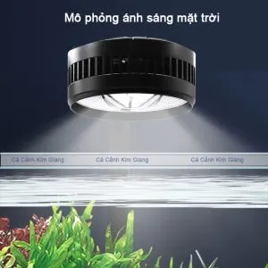 Đèn led rọi cao cấp COCO FA mô phỏng ánh sáng tự nhiên cho bể cá