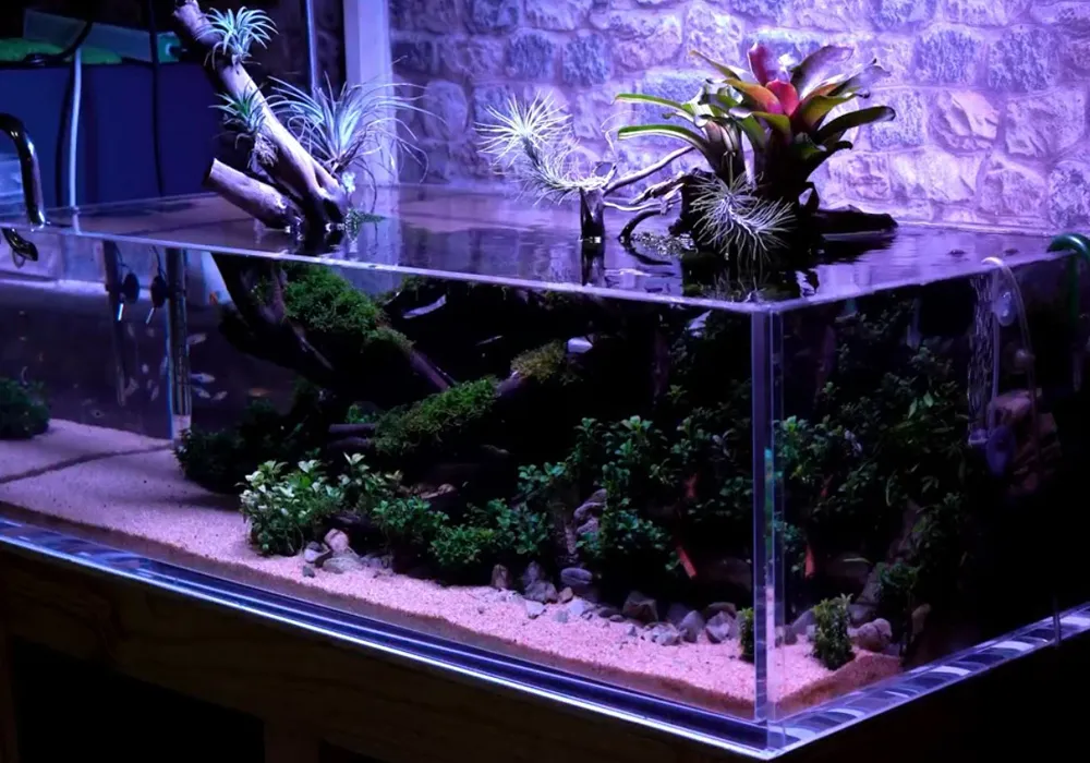 Độ trong suốt vượt trội của vật liệu acrylic chất lượng cao, mang lại tầm nhìn hoàn hảo cho hồ cá.