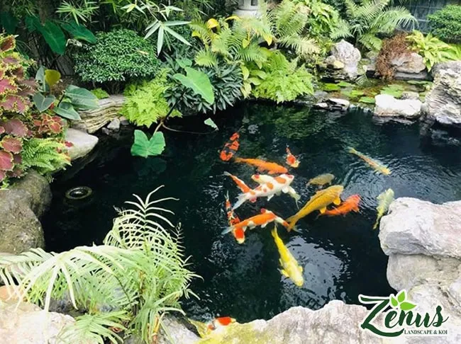 Đội ngũ chuyên gia địa kỹ thuật môi trường tư vấn và thi công hồ cá sân vườn chuyên nghiệp.