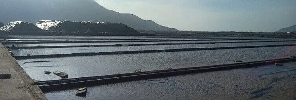 Đơn vị cung cấp và phân phối bạt HDPE lót ruộng muối trên toàn quốc