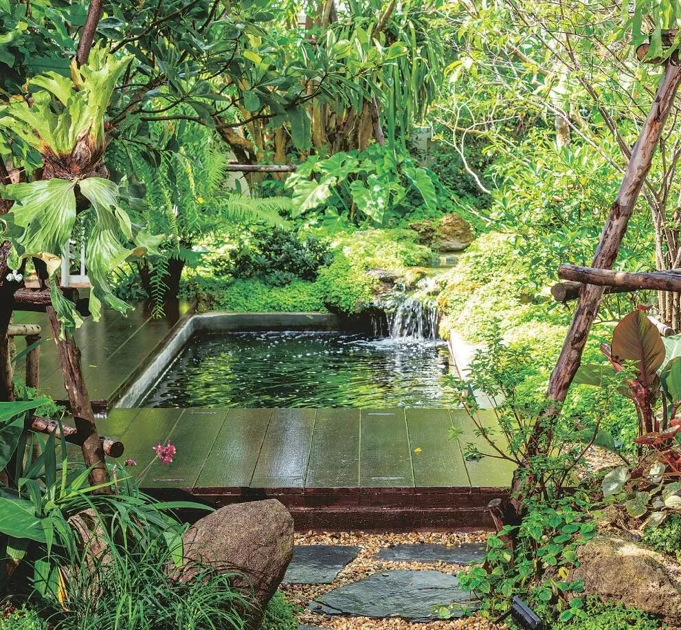 Dòng chảy cho hồ cá mang lại sinh khí