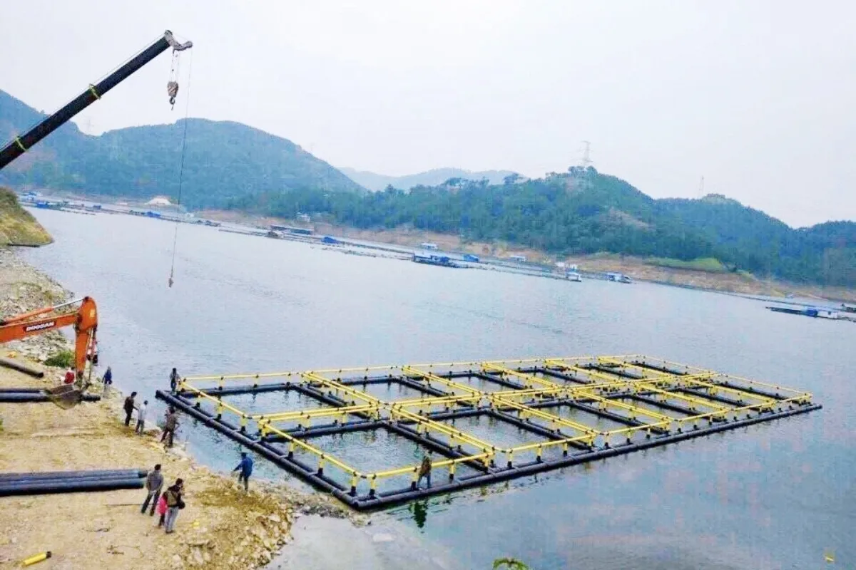 Dự án nuôi cá lồng bè Long Sơn sử dụng ống nhựa HDPE Hoa Sen, đảm bảo môi trường nuôi an toàn