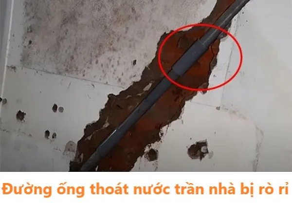 Đường ống thoát nước trần nhà bị rò rỉ