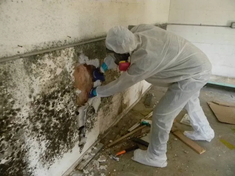 Giải pháp chống thấm ngược bền vững với sản phẩm sơn Dulux chuyên dụng