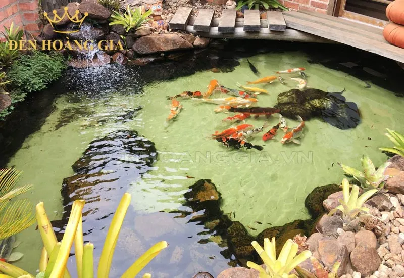 Giải pháp trang trí, chiếu sáng hồ cá xi măng bằng tiểu cảnh