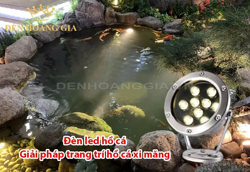 Giải pháp trang trí, chiếu sáng hồ cá xi măng đẹp nhất
