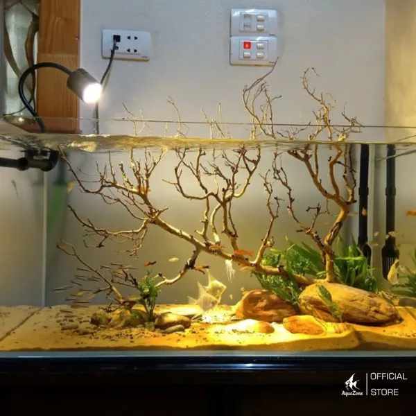 Gỗ lũa tự nhiên tạo cảnh quan đẹp và chỗ trú ẩn cho cá trong hồ thủy sinh