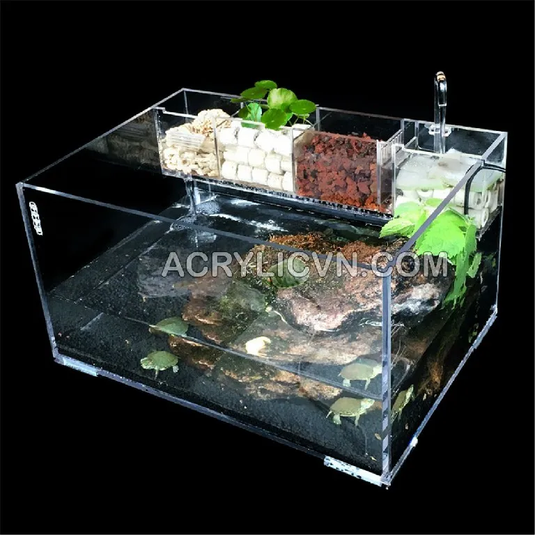 Hồ cá mica được trang trà bắt mắt