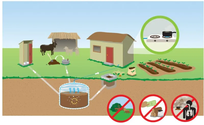 Hầm biogas composite xử lý chất thải chăn nuôi hiệu quả
