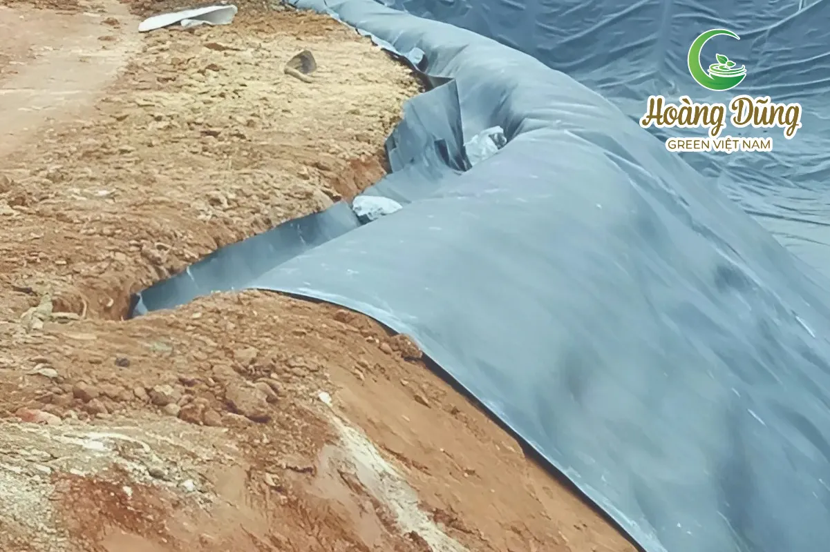 Hầm biogas sử dụng màng chống thấm HDPE HSE xử lý chất thải chăn nuôi