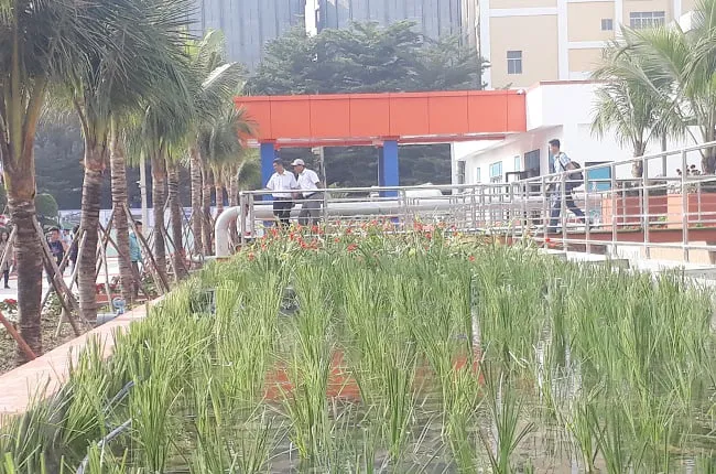Hằng Hữu Huỳnh: Tên gọi ý nghĩa gắn liền với gia đình ông Huỳnh Uy Dũng và tầm nhìn môi trường