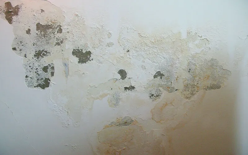 Hậu quả của nước thấm qua tường: tường ẩm mốc, loang lổ gây mất thẩm mỹ và ảnh hưởng sức khỏe