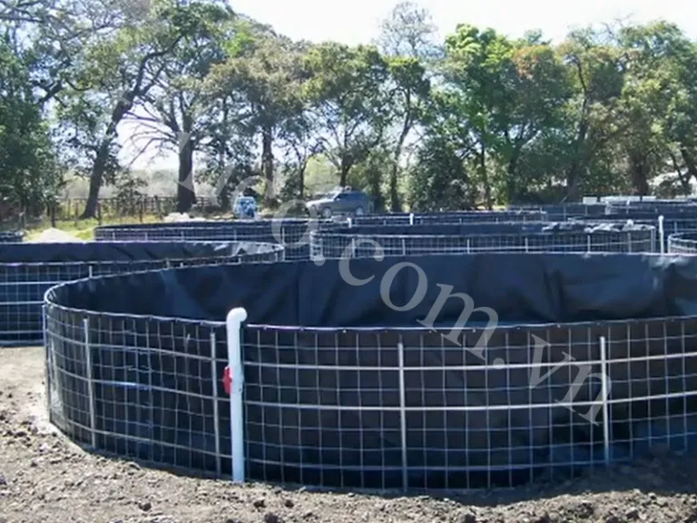 Hệ thống ao nuôi tôm công nghệ cao được lót bằng bạt HDPE, đảm bảo môi trường sạch và chống thấm hiệu quả.