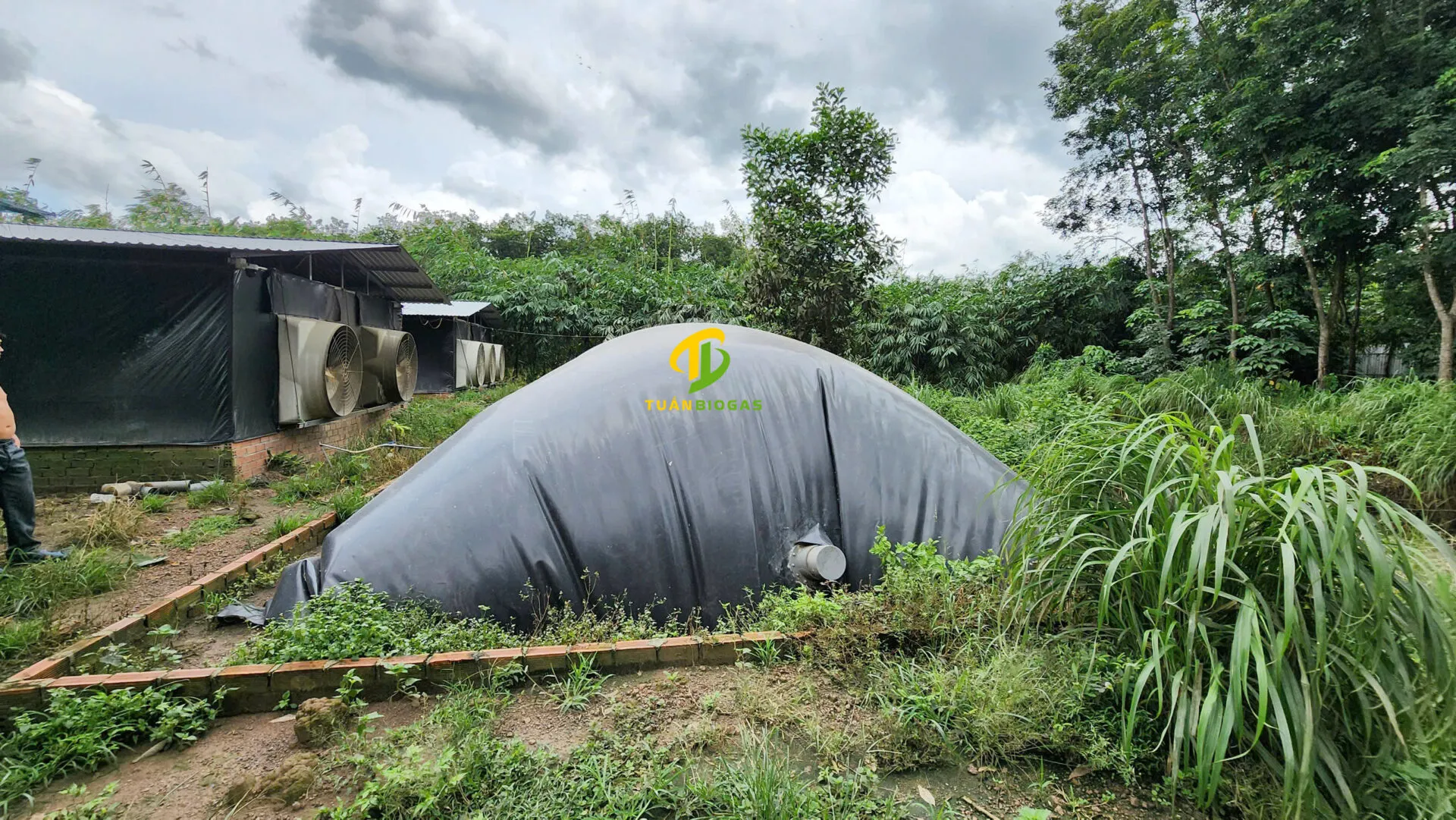 Hệ thống biogas áp dụng cho trại vịt