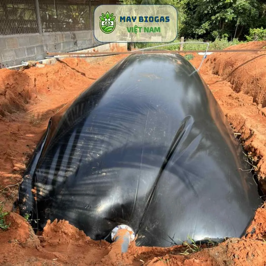 Hệ thống biogas trải bạt HDPE được thi công linh hoạt và dễ dàng, phù hợp nhiều quy mô