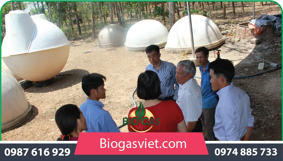 Hệ thống hầm biogas bằng nhựa composite quy mô lớn tại trang trại chăn nuôi