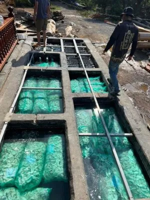 Hệ thống lọc hồ cá Koi sử dụng vỏ hàu ion đã qua xử lý để ổn định pH