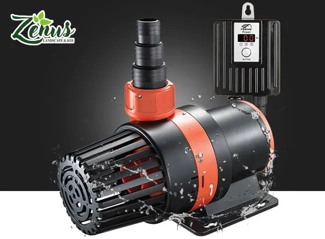 Hệ thống máy bơm và lọc nước được lựa chọn phù hợp với kích thước hồ cá.