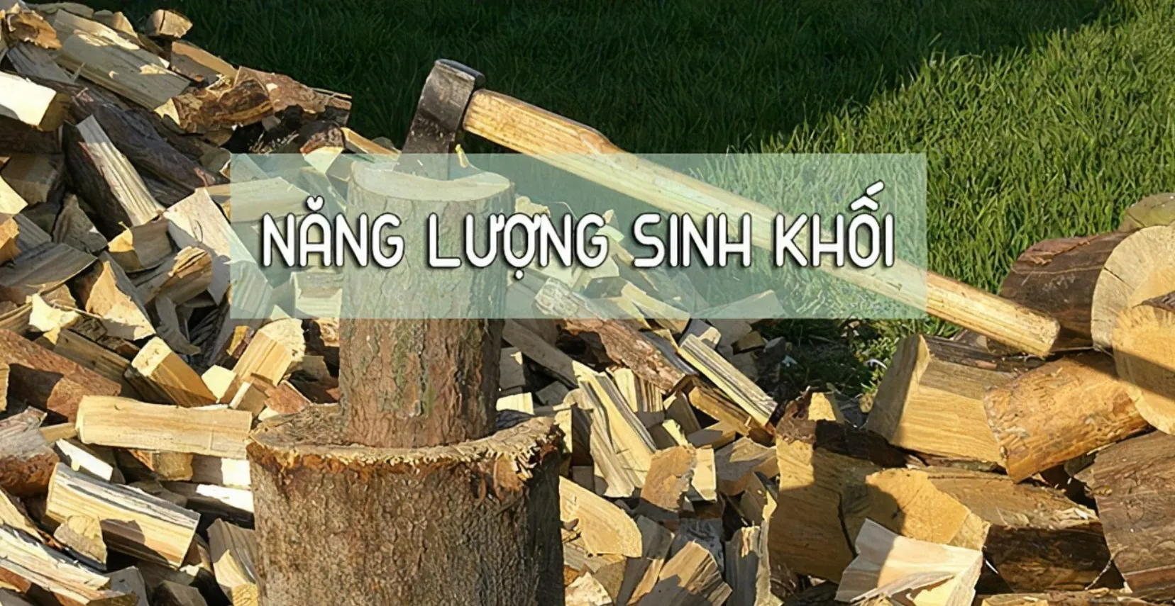 Hệ thống phát điện từ năng lượng sinh khối