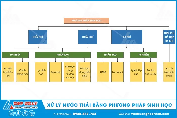 Hệ thống xử lý nước thải bằng phương pháp sinh học hiệu quả