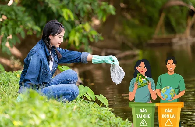 Hình ảnh các thùng rác phân loại nhiều màu sắc cho rác hữu cơ, vô cơ và tái chế, minh họa cách phân loại rác thải hiệu quả.