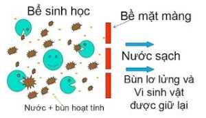 Hình ảnh cận cảnh quá trình lọc nước qua màng MBR