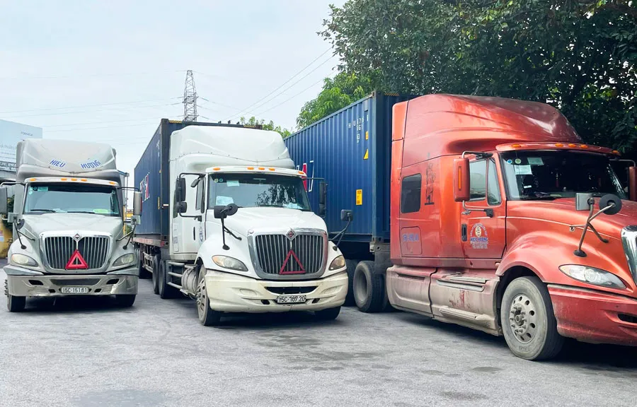 Hình ảnh đội ngũ xe vận tải đa dạng chủng loại của Hiếu Hương, phục vụ giao hàng nhanh chóng.