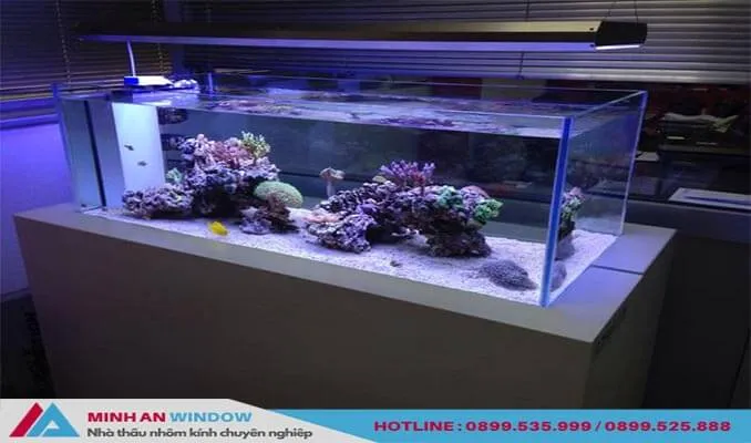 Hình ảnh kính cường lực 8mm được dùng làm bể cá cảnh