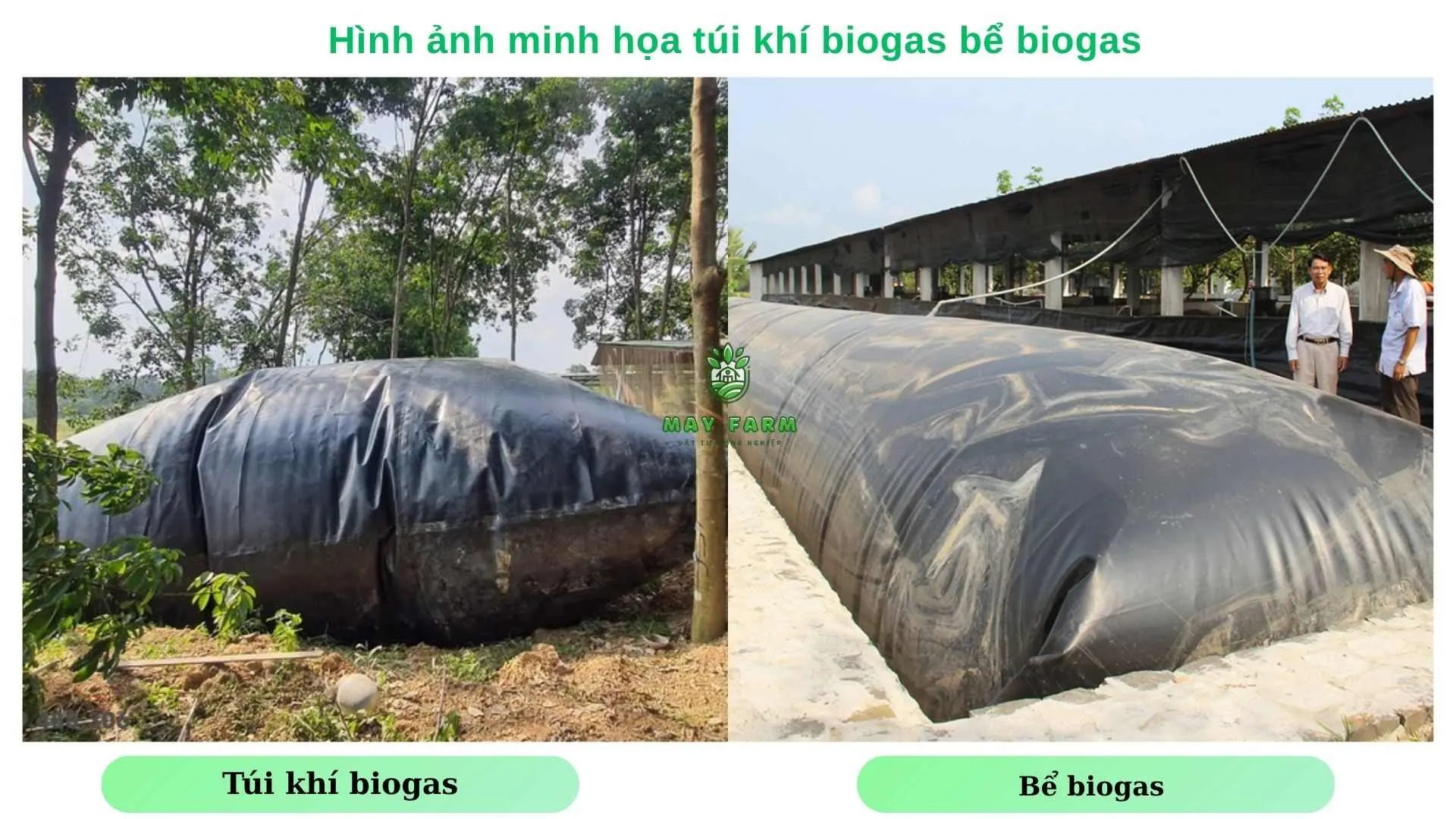 Hình ảnh minh họa túi khí biogas bể biogas