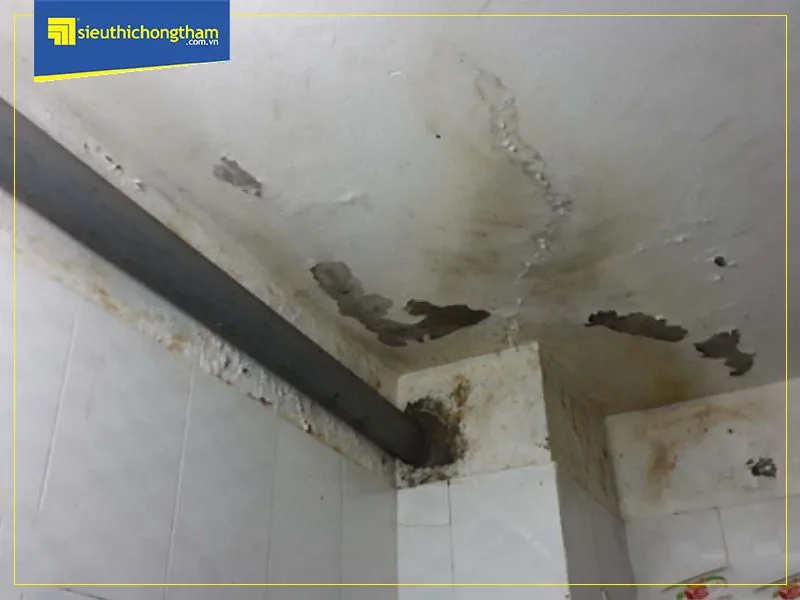 Hình ảnh một nhà vệ sinh bị thấm dột, tường và trần có dấu hiệu ẩm mốc, hư hại, thể hiện sự cần thiết của việc chống thấm.