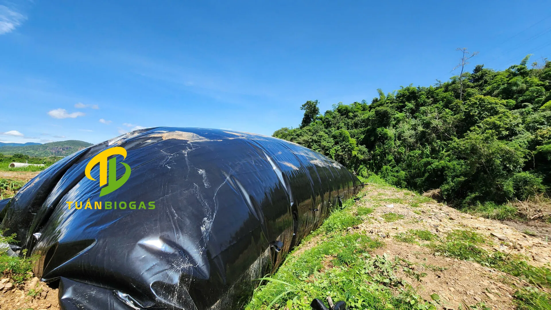 Hình ảnh thi công lắp đặt túi biogas tại trang trại