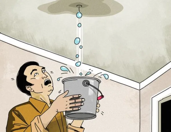 Hình ảnh trần nhà bị dột nước gây ẩm mốc và hư hại