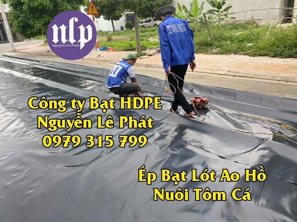 Hồ bạt nuôi cá koi
