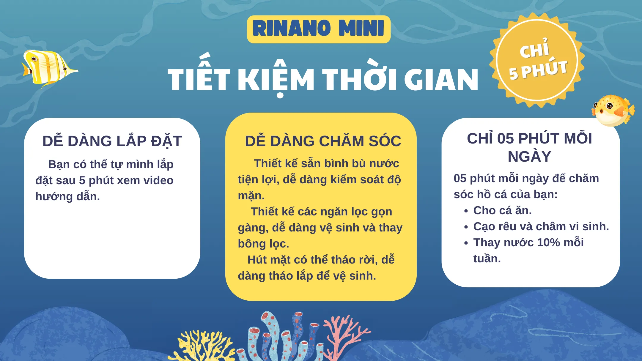 Hồ cá biển mini đã hoàn thiện với cá nemo và san hô rực rỡ