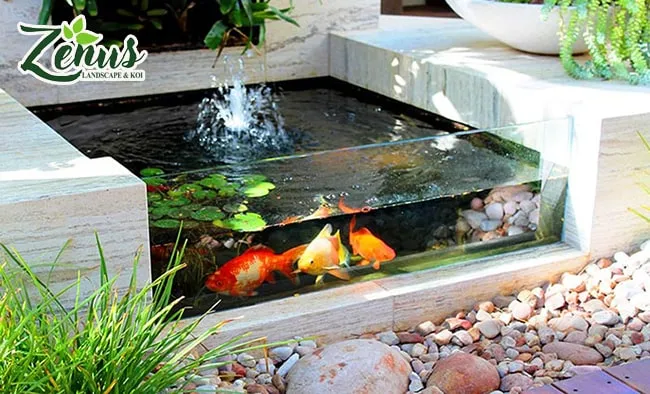 Hồ cá được lót bằng bạt HDPE giúp tiết kiệm chi phí và dễ dàng thi công.