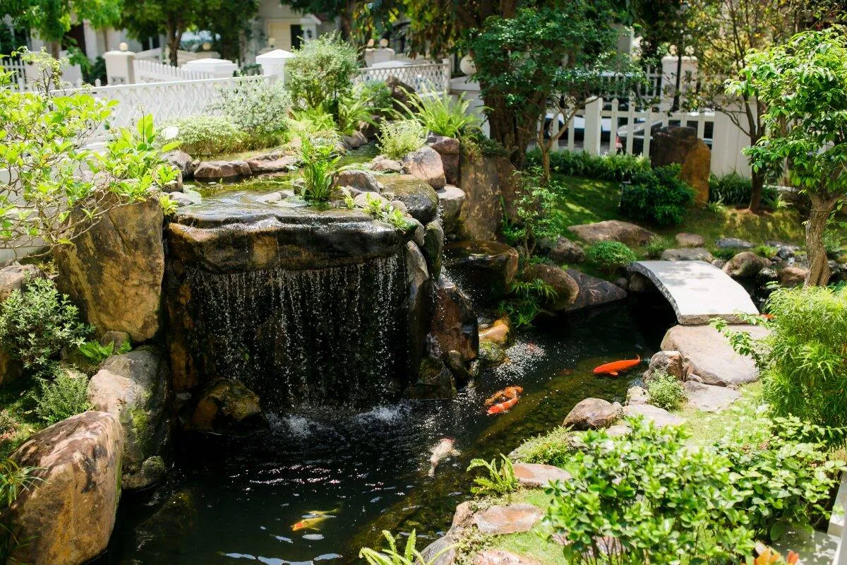 Hồ cá hình bán nguyệt