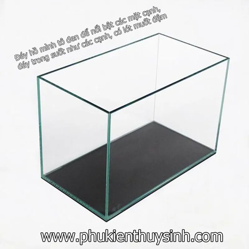 Hồ cá kính Việt Nhật 8 ly cao cấp với hệ thống lọc và đèn thủy sinh