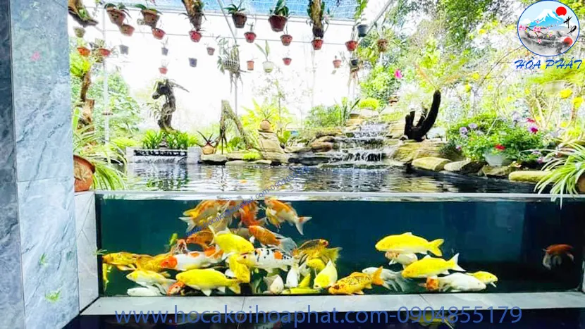 Hồ cá Koi bằng kính mini
