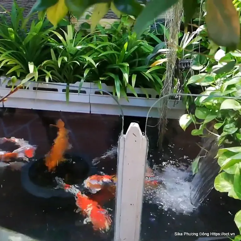 Hồ cá Koi được chống thấm bằng Sika