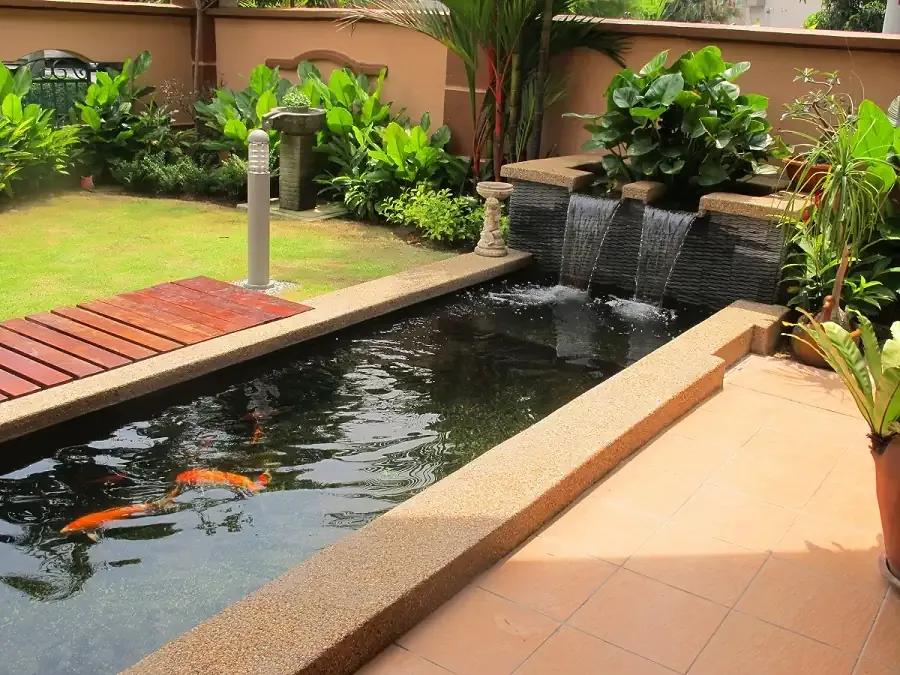 Hồ cá koi hình chữ nhật bán hiện đại
