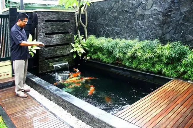 Hồ cá Koi hình chữ nhật với hệ thống lọc hiện đại