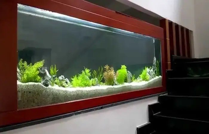 Hồ cá koi mini bằng kính âm tường cầu thang