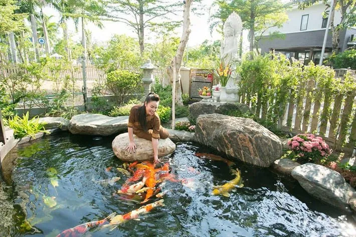 Hồ cá Koi ngoài trời với màng chống thấm HDPE mang lại vẻ đẹp tự nhiên và bền vững