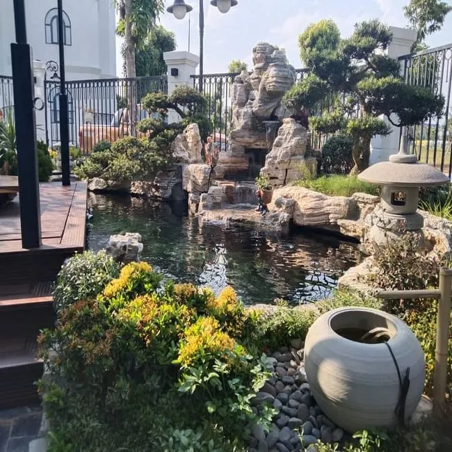 Hồ cá koi phong thủy kết hợp cây xanh và tiểu cảnh hài hòa.