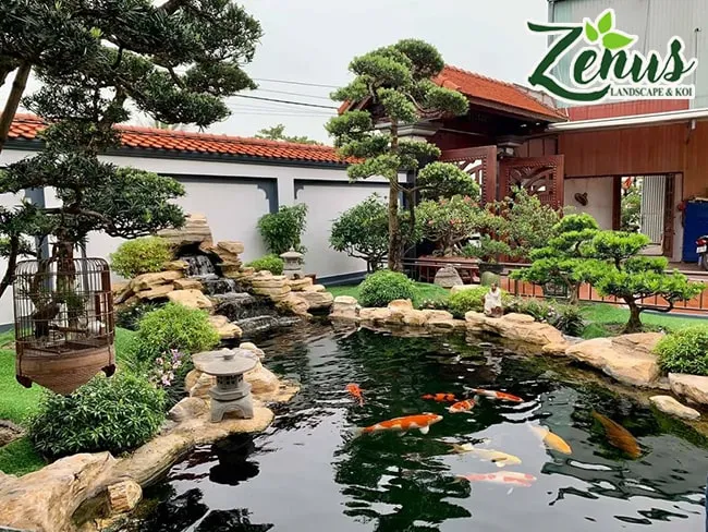Hồ cá koi sạch sẽ không bọt nhờ hệ thống lọc và bạt HDPE