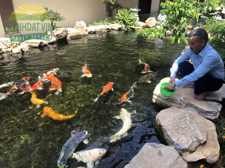 Hồ cá Koi sử dụng bạt HDPE chất lượng cao