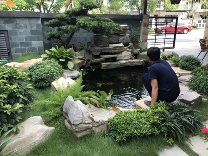 Hồ Cá Koi Trước Nhà Biệt Thự Gamuda