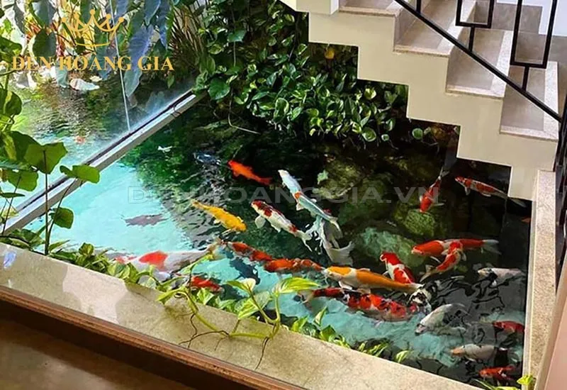 Hồ cá phong thủy trong nhà mang lại tài lộc và may mắn
