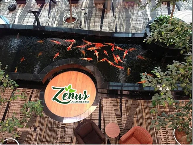 Hồ cá sân vườn đã hoàn thiện phần trang trí, sẵn sàng cho việc thả cá.